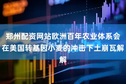 郑州配资网站欧洲百年农业体系会在美国转基因小麦的冲击下土崩瓦解