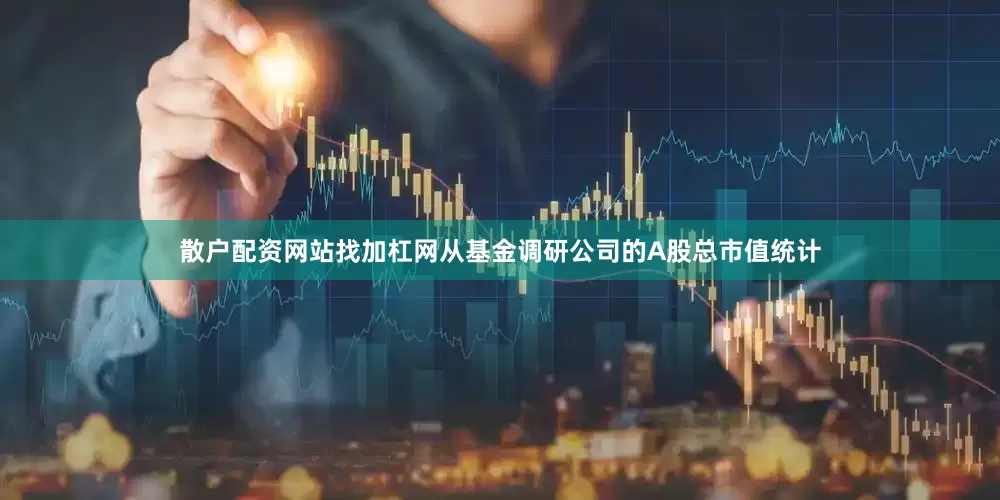 散户配资网站找加杠网从基金调研公司的A股总市值统计